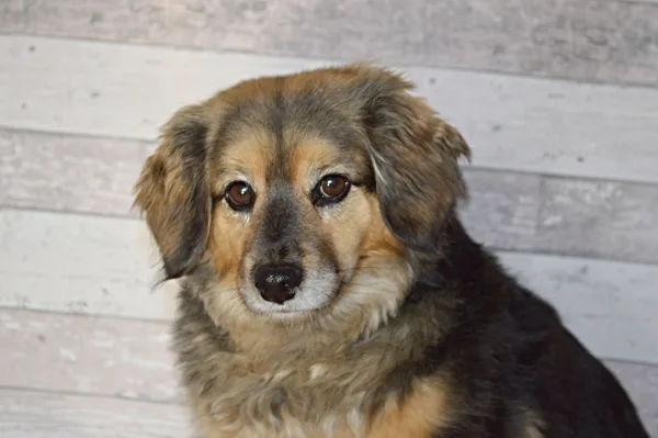Mia